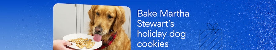 Martha Stewart's Chewy Exclusive Holiday Dog Cookie Recipe