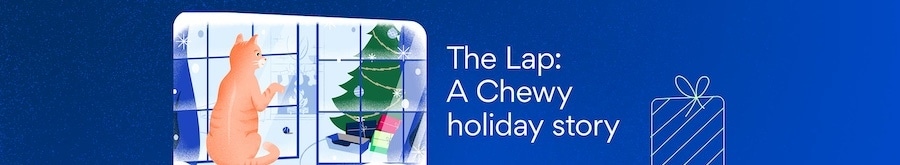 The Lap: A Chewy Holiday Story